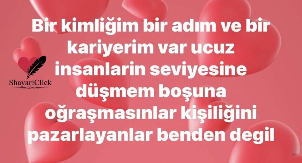 Boys Attitude Shayari in Hindi 💪😎